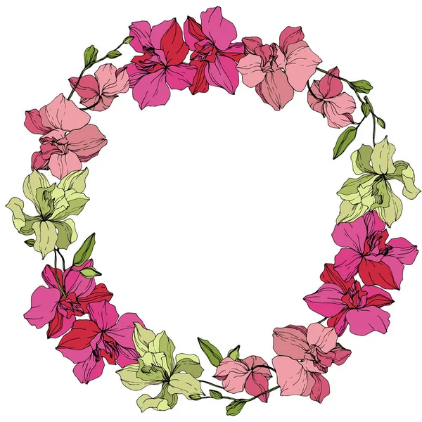 Belles Fleurs Orchidée Rose Jaune Encre Gravée Cadre Couronne Florale — Image vectorielle