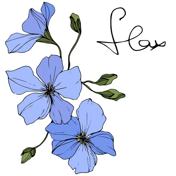 Belles Fleurs Lin Bleu Avec Des Feuilles Vertes Isolées Sur — Image vectorielle