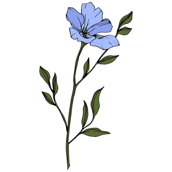 Belle Fleur Lin Bleu Avec Des Feuilles Vertes Isolées Sur — Image vectorielle