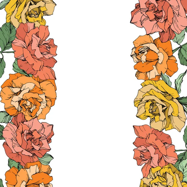 Vector Rose Bloemen Bloemen Grenzen Witte Achtergrond Geel Oranje Roze — Stockvector