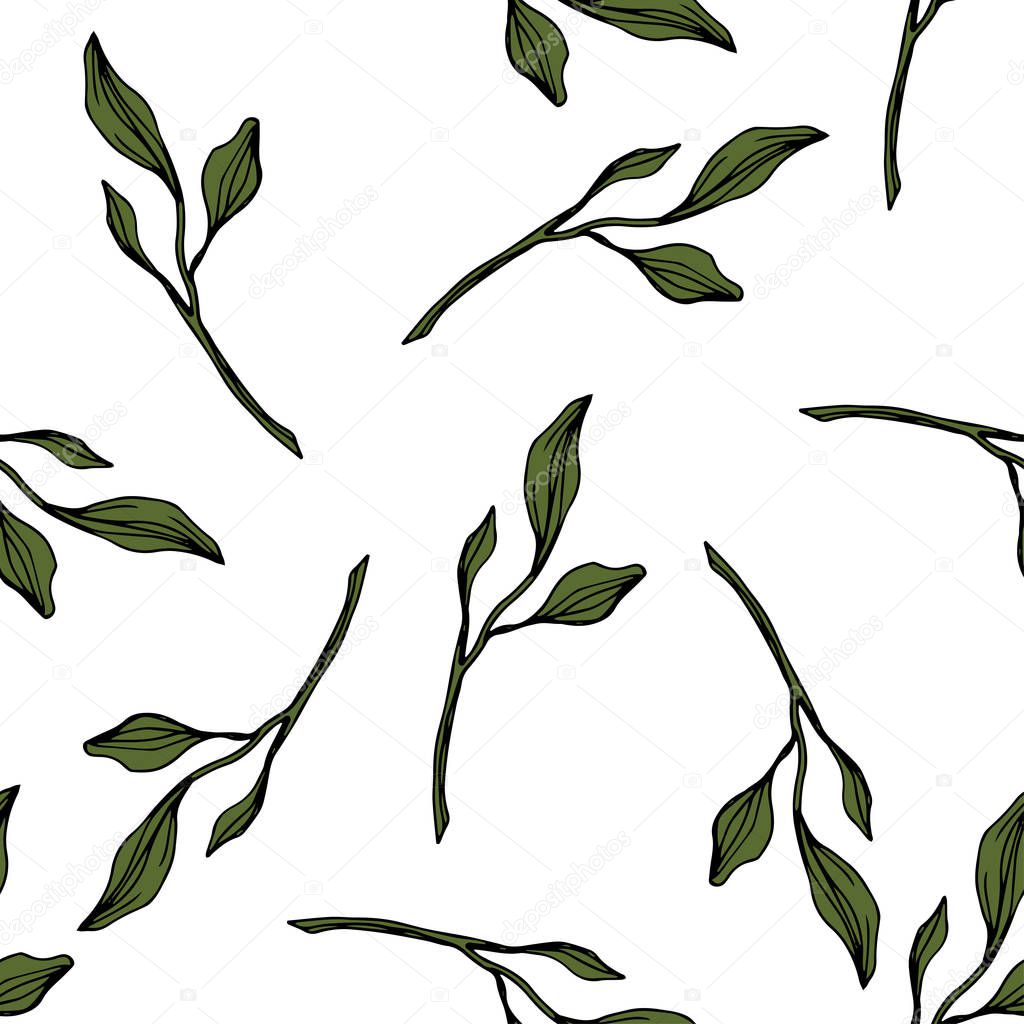 Vector. Green leaves botanical garden floral foliage. Engraved ink art. Seamless pattern on white background. Fabric wallpaper print texture.