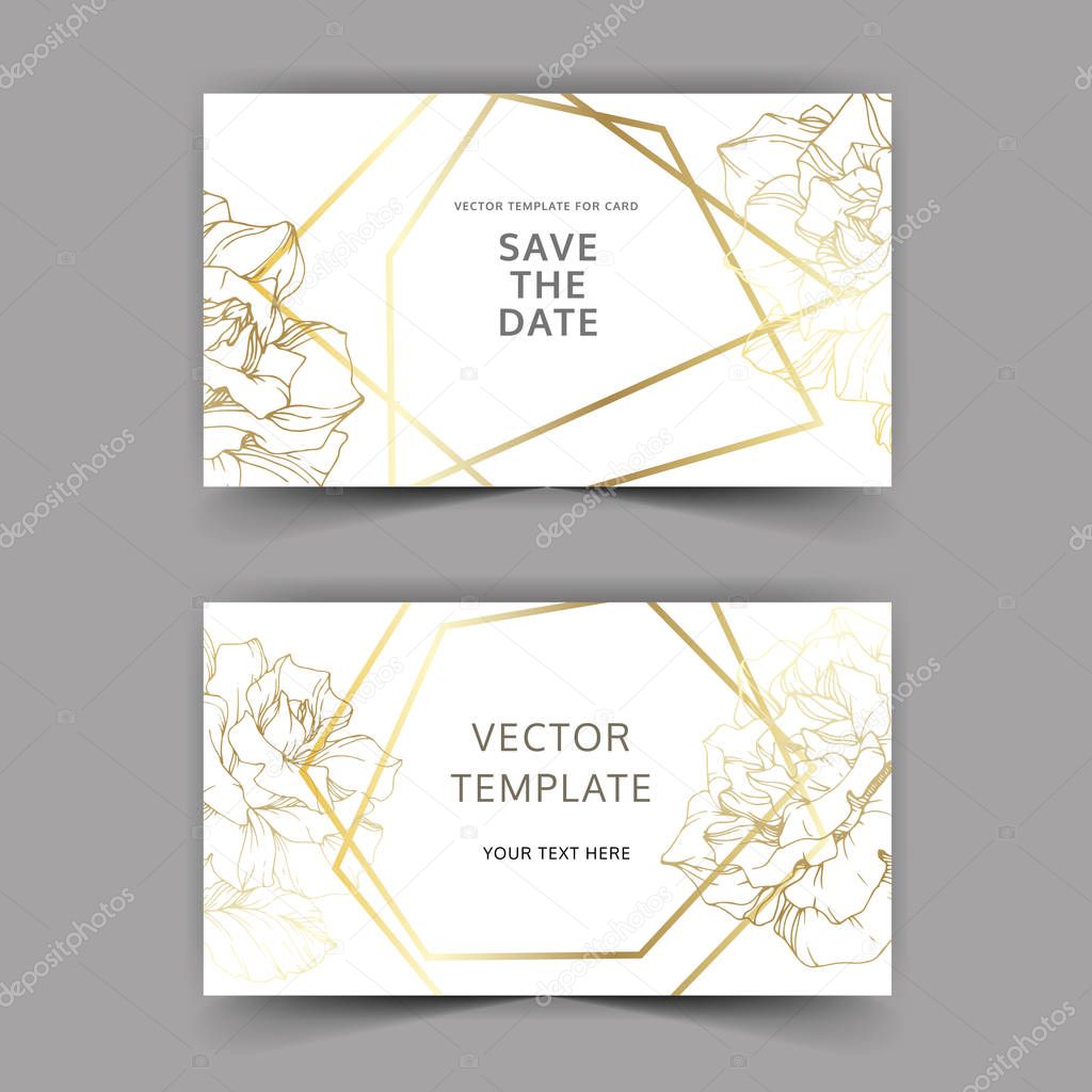 Vector. Golden rose flowers on cards. Wedding cards with golden borders. Thank you, rsvp, invitation elegant cards illustration graphic set. Engraved ink art.