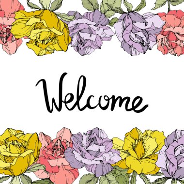 Vector rose flowers floral borders on white background. Yellow, purple and pink engraved ink art. Welcome inscription clipart