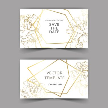 Vector. Golden rose flowers on cards. Wedding cards with golden borders. Thank you, rsvp, invitation elegant cards illustration graphic set. Engraved ink art. clipart