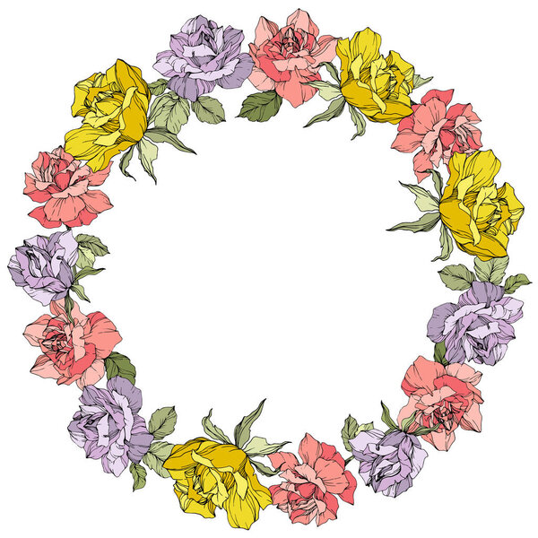 Vector. Rose flowers floral wreath on white background. Yellow, purple and pink roses engraved ink art.