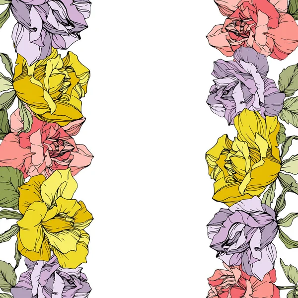 ベクトルは 白い背景の上の花花ボーダーを上昇しました 紫とピンクの刻まれたインク アート — ストックベクタ