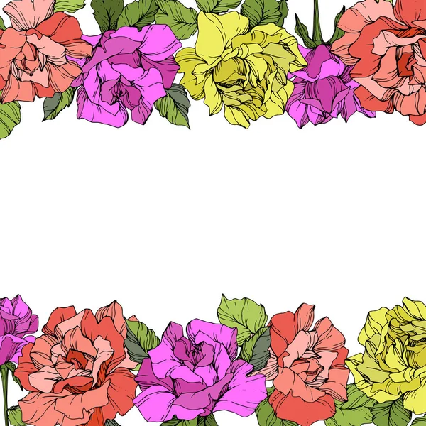 Vektor Růže Květinovými Okraji Zelenými Listy Růže Fialové Žluté Korálové — Stockový vektor