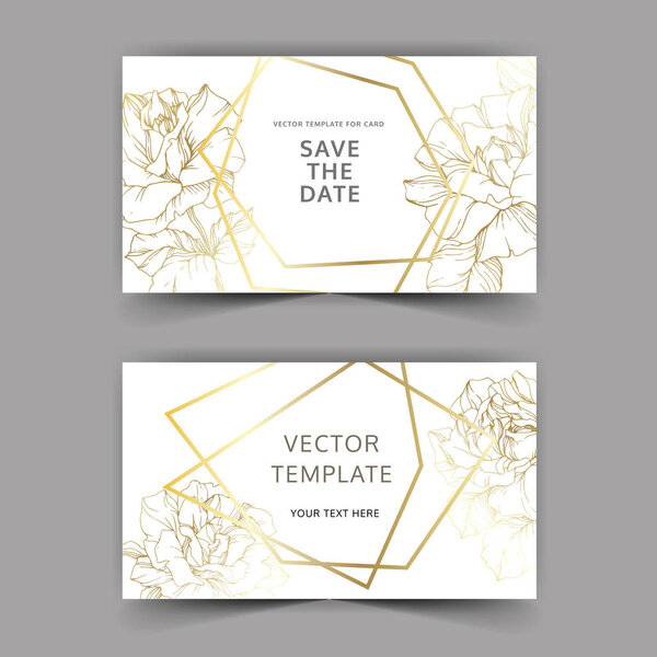 Vector. Golden rose flowers on cards. Wedding cards with golden borders. Thank you, rsvp, invitation elegant cards illustration graphic set. Engraved ink art.
