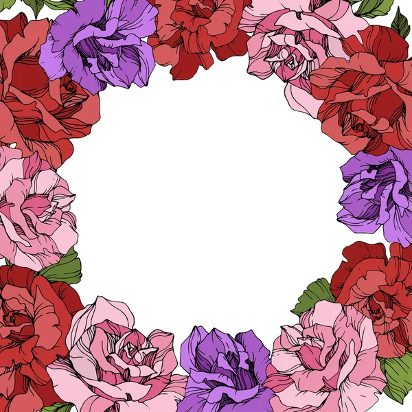 Vector Rose Flowers Floral Wreath White Background Red Purple Pink — Stock Vector