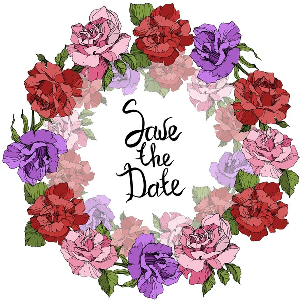 Векторні Троянди Квітковий Вінок Рожеві Червоні Фіолетові Трояндові Квіти Гравіруванням — стоковий вектор