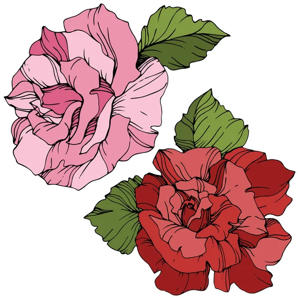 Vector Flores Rosadas Rojas Con Hojas Verdes Aisladas Sobre Fondo — Vector de stock