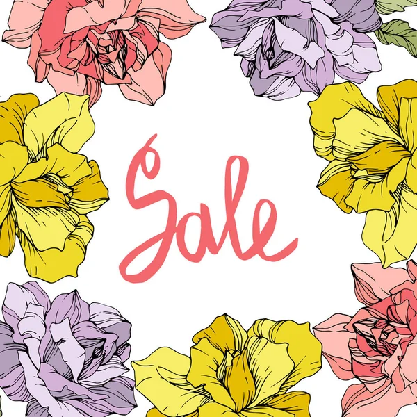 Vector. Rose flowers frame on white background. Yellow, pink and purple roses engraved ink art. Sale handwritten monogram calligraphy. — Stock Illustration Vector Rose Flowers Frame White Background Yellow Pink Purple Roses Royalty Free Stock Vectors