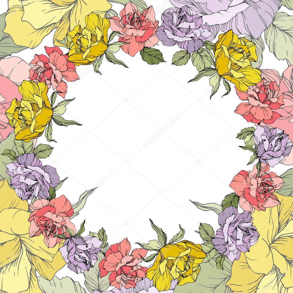 Vector. Rose flowers floral wreath on white background. Yellow, purple and pink roses engraved ink art.