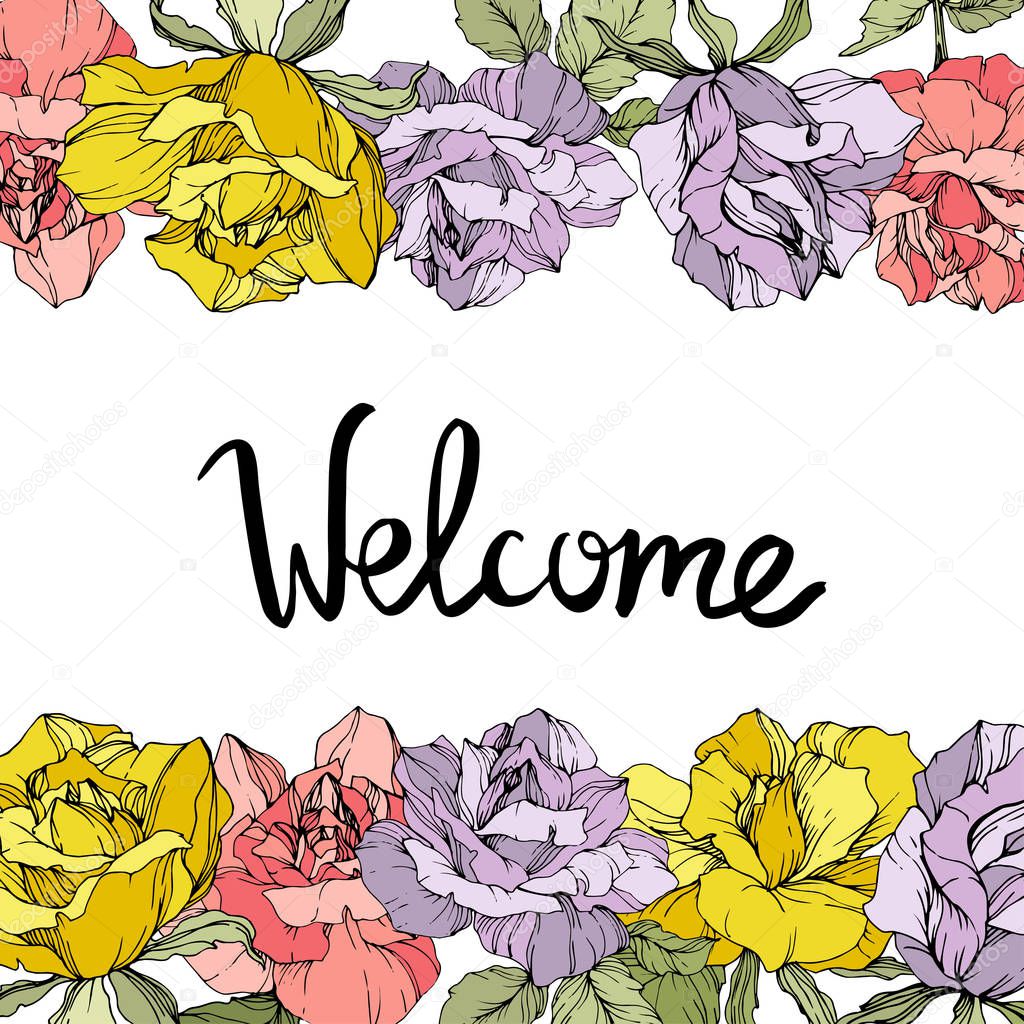 Vector rose flowers floral borders on white background. Yellow, purple and pink engraved ink art. Welcome inscription