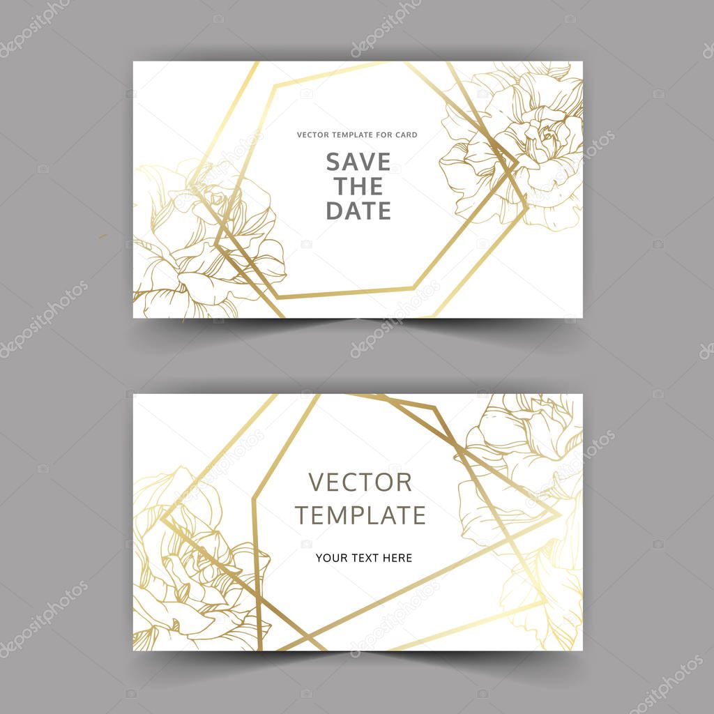 Vector. Golden rose flowers on cards. Wedding cards with golden borders. Thank you, rsvp, invitation elegant cards illustration graphic set. Engraved ink art.