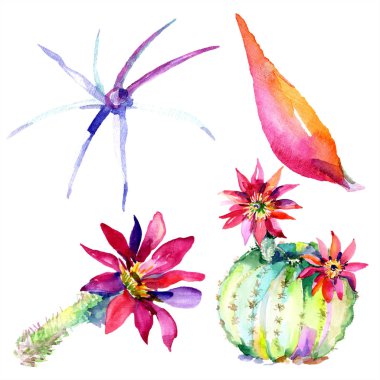 Yeşil kaktüs çiçek. Suluboya çizim moda aquarelle izole. İzole kaktüsler illüstrasyon öğesi.