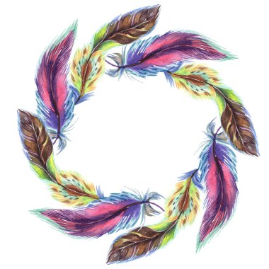Colorful watercolor feathers isolated on white illustration. Frame border ornament with copy space. clipart