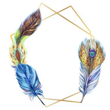 Renkli tüyler. Suluboya kuş tüyü izole Wing. Arka plan, doku, sarıcı desen, çerçeve veya kenarlık için Aquarelle tüy. Çerçeve kenarlığı 