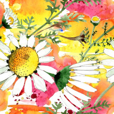 Vahşi bahar papatya çiçeği. Suluboya resim kümesi. Suluboya çizim moda aquarelle. Sorunsuz arka plan deseni. Kumaş duvar kağıdı yazdırma doku.