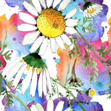 Vahşi bahar papatya çiçeği. Suluboya resim kümesi. Suluboya çizim moda aquarelle. Sorunsuz arka plan deseni. Kumaş duvar kağıdı yazdırma doku.