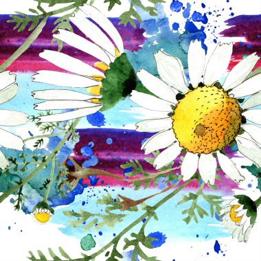 Vahşi bahar papatya çiçeği. Suluboya resim kümesi. Suluboya çizim moda aquarelle. Sorunsuz arka plan deseni. Kumaş duvar kağıdı yazdırma doku.