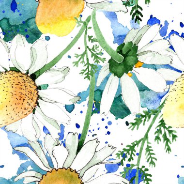 Vahşi bahar papatya çiçeği. Suluboya resim kümesi. Suluboya çizim moda aquarelle. Sorunsuz arka plan deseni. Kumaş duvar kağıdı yazdırma doku.