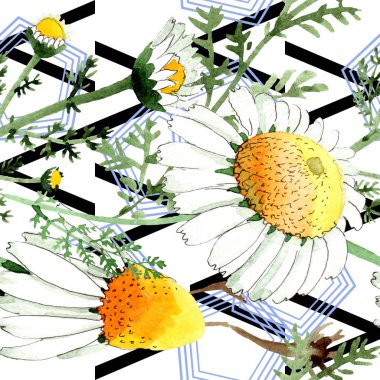 Vahşi bahar papatya çiçeği. Suluboya resim kümesi. Suluboya çizim moda aquarelle. Sorunsuz arka plan deseni. Kumaş duvar kağıdı yazdırma doku.