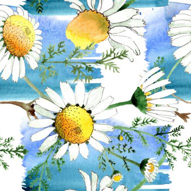 Vahşi bahar papatya çiçeği. Suluboya resim kümesi. Suluboya çizim moda aquarelle. Sorunsuz arka plan deseni. Kumaş duvar kağıdı yazdırma doku.