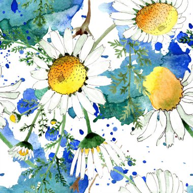Vahşi bahar papatya çiçeği. Suluboya resim kümesi. Suluboya çizim moda aquarelle. Sorunsuz arka plan deseni. Kumaş duvar kağıdı yazdırma doku.