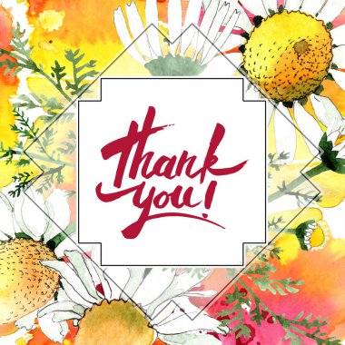 Vahşi bahar papatya çiçeği. Suluboya arka plan illüstrasyon küme. Suluboya çizim moda aquarelle izole. Teşekkür ederim işareti ile çerçeve kenarlığı