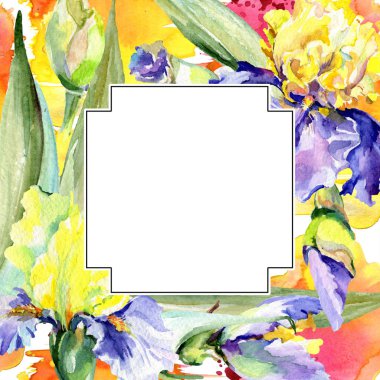 Mor ve sarı süsen çerçeveli. Suluboya arka plan illüstrasyon çiçeklerle ayarla. Suluboya çizim moda aquarelle. 
