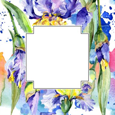 Mor ve sarı süsen çerçeveli. Suluboya arka plan illüstrasyon çiçeklerle ayarla. Suluboya çizim moda aquarelle. 