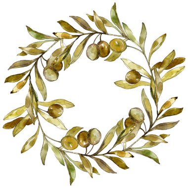 Çerçeve yeşil zeytin suluboya arka plan illüstrasyon ayarlanmış. Suluboya çizim moda aquarelle izole.
