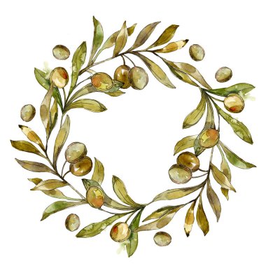Çerçeve yeşil zeytin suluboya arka plan illüstrasyon ayarlanmış. Suluboya çizim moda aquarelle izole.