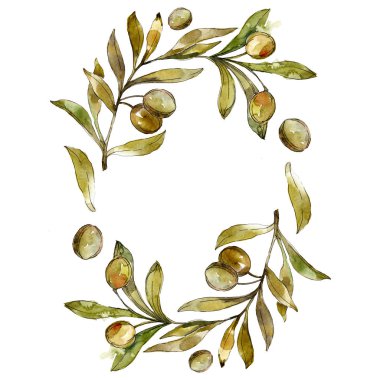 Çerçeve yeşil zeytin suluboya arka plan illüstrasyon ayarlanmış. Suluboya çizim moda aquarelle izole.