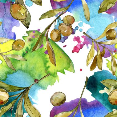 Yeşil zeytin suluboya arka plan illüstrasyon ayarlayın. Suluboya çizim moda aquarelle izole. Botanik zeytin yeşillik.