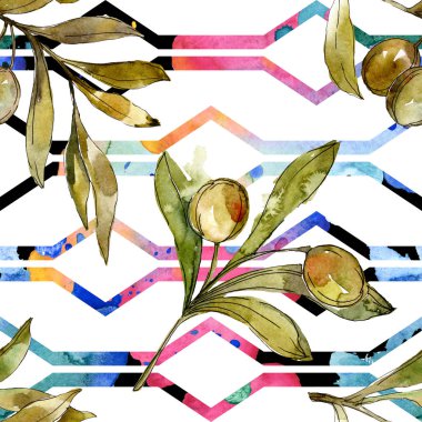 Yeşil zeytin suluboya arka plan illüstrasyon ayarlayın. Suluboya çizim moda aquarelle izole. Botanik zeytin yeşillik.