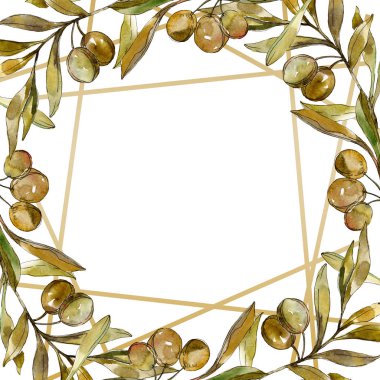 Yeşil zeytin suluboya arka plan illüstrasyon ayarlayın. Suluboya çizim moda aquarelle izole. Çerçeve kenarlığı 