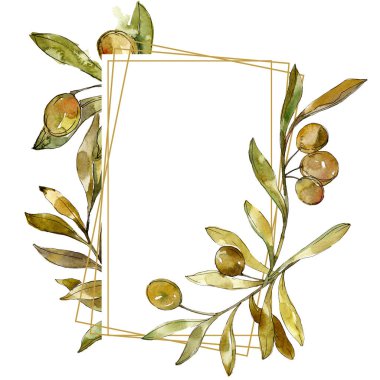 Yeşil zeytin suluboya arka plan illüstrasyon ayarlayın. Suluboya çizim moda aquarelle izole. Çerçeve kenarlığı 