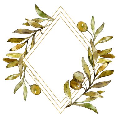 Yeşil zeytin suluboya arka plan illüstrasyon ayarlayın. Suluboya çizim moda aquarelle izole. Çerçeve kenarlığı 