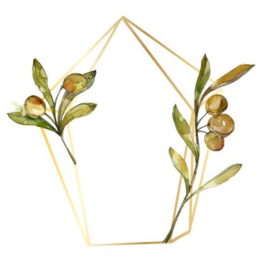 Yeşil zeytin suluboya arka plan illüstrasyon ayarlayın. Suluboya çizim moda aquarelle izole. Çerçeve kenarlığı 