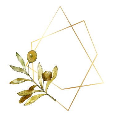 Yeşil zeytin suluboya arka plan illüstrasyon ayarlayın. Suluboya çizim moda aquarelle izole. Çerçeve kenarlığı 