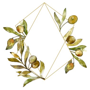 Yeşil zeytin suluboya arka plan illüstrasyon ayarlayın. Suluboya çizim moda aquarelle izole. Çerçeve kenarlığı 