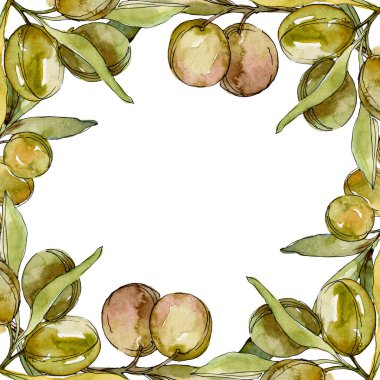Çerçeve yeşil zeytin ve yaprak suluboya arka plan illüstrasyon ayarlanmış. Suluboya çizim moda aquarelle izole. 
