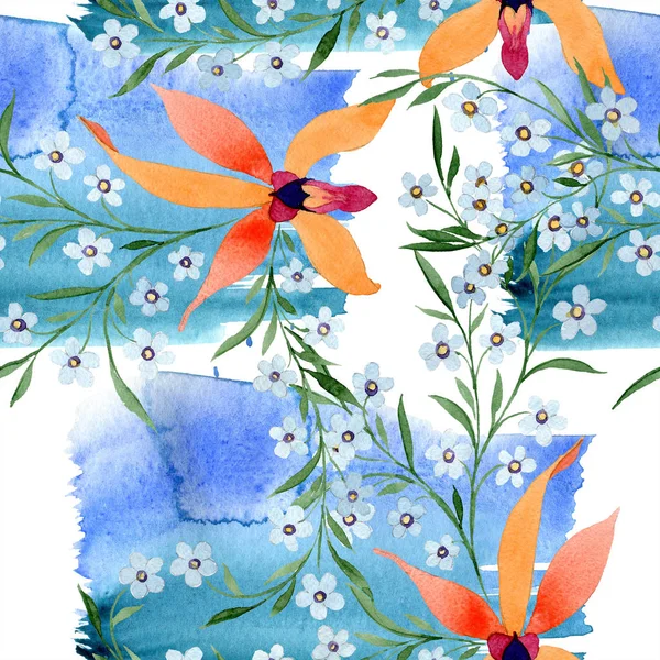 Blue Orange Flowers Watercolour Drawing Background Orchids Forget Nots — Stock Photo, Image