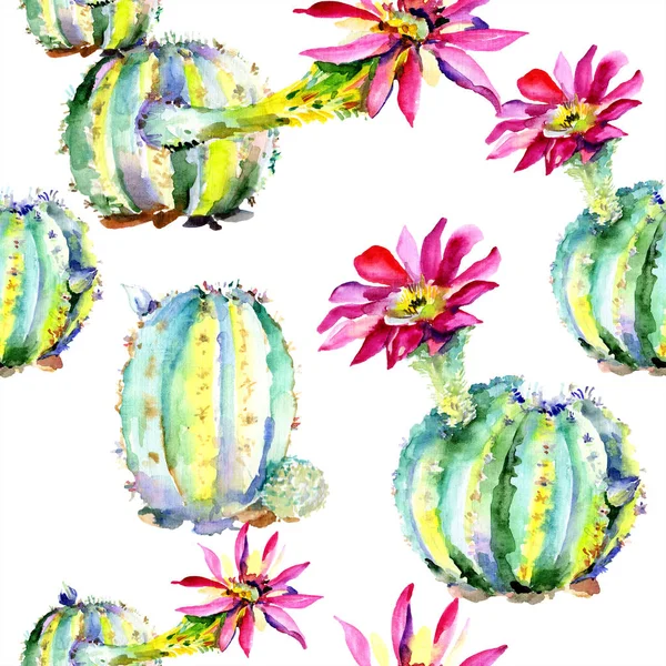 Green Cacti Pink Flowers Watercolor Seamless Background Pattern — Stock Photo, Image