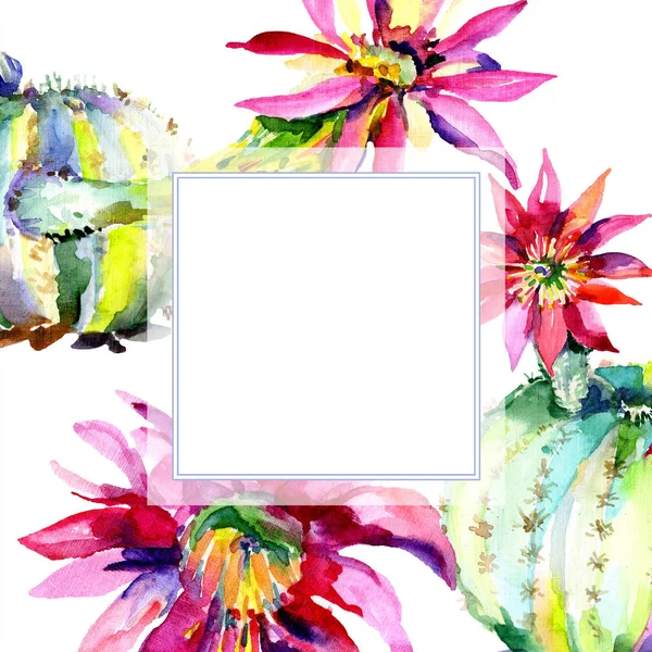 Groene Cactussen Met Bloemen Aquarel Illustratie Instellen Met Frame Border — Stockfoto