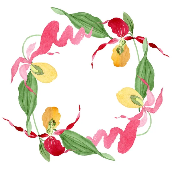 Signora Pantofola Orchidee Acquerello Cornice Illustrazione Isolato Bianco Con Spazio — Foto Stock