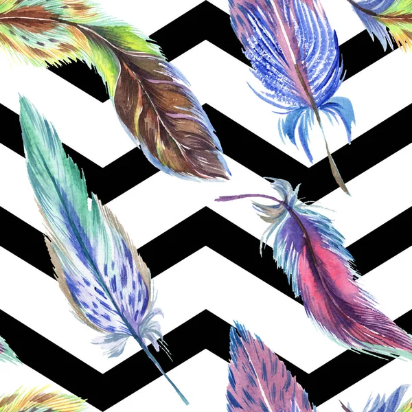 五颜六色的羽毛与抽象的线在白色背景 无缝的背景模式 织物壁纸打印纹理 — 图库照片