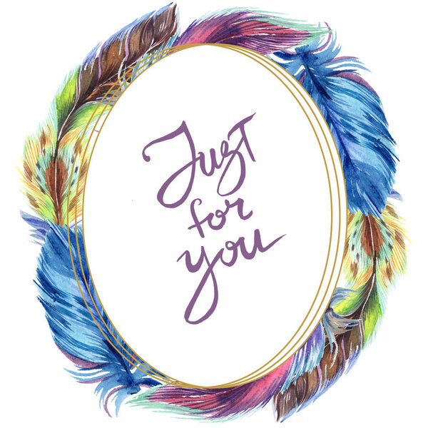 Colorful feathers. Watercolor bird feather from wing isolated. Aquarelle feather for background, texture, wrapper pattern, frame or border. Frame border with just for you sign